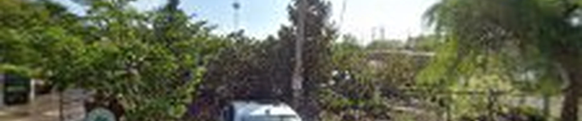 Trees, Forests and Landscapes