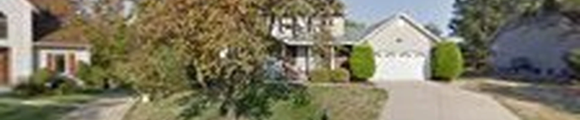 A&M Tree Services LLC