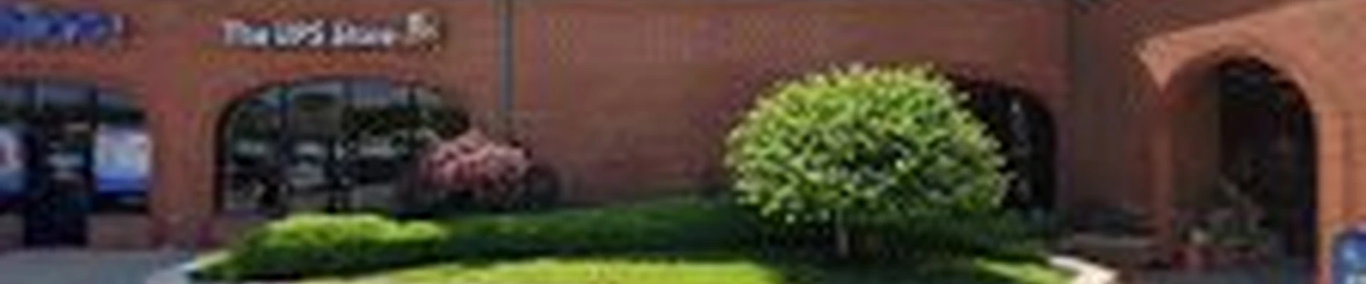 Curious Joe Tree Service