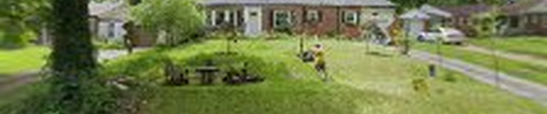 Living Tree Care