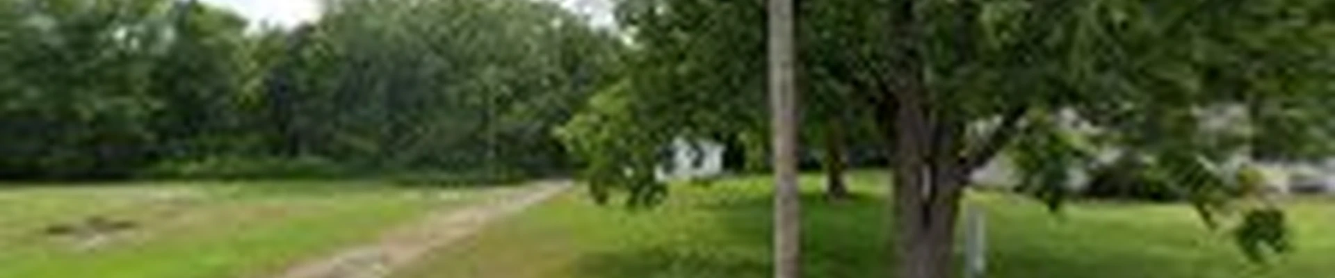 Tree Brothers Tree Service