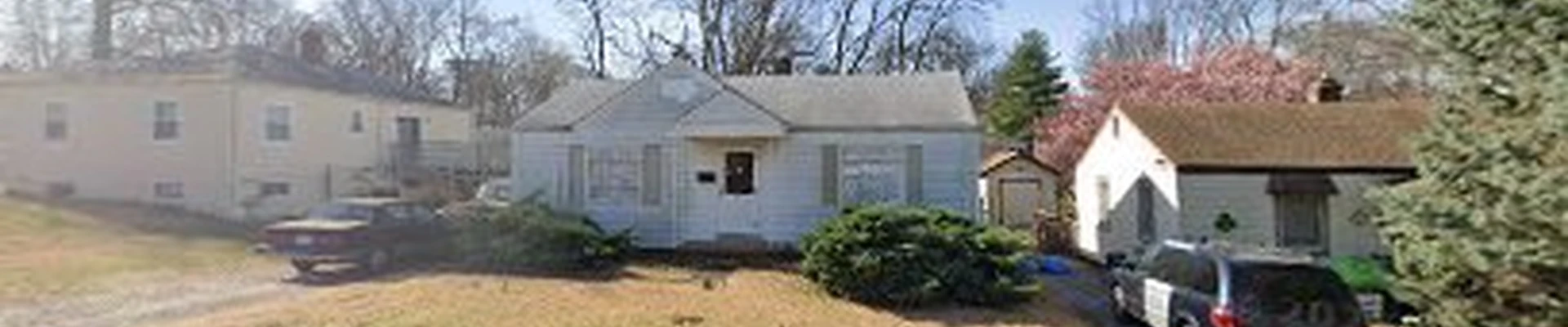David stump removal and trees