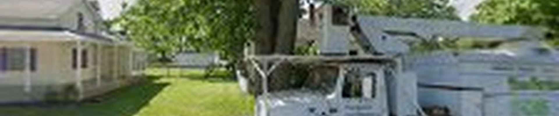 Capitol tree service LLC