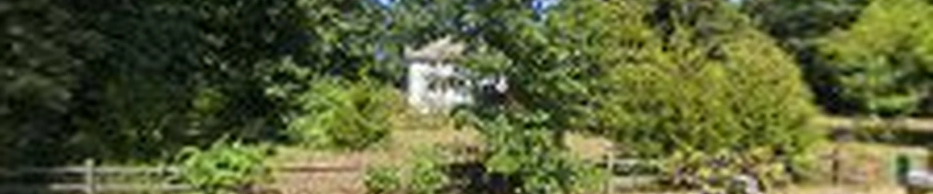 Livingston Tree Service