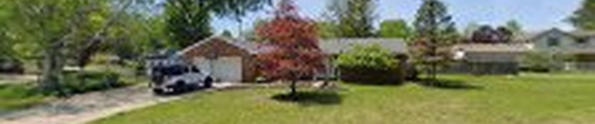 Bedford Tree Services