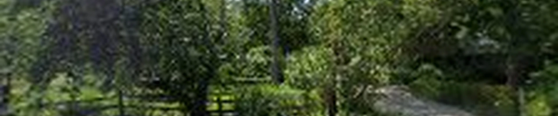 L E Savory Tree & Lawn Services Inc