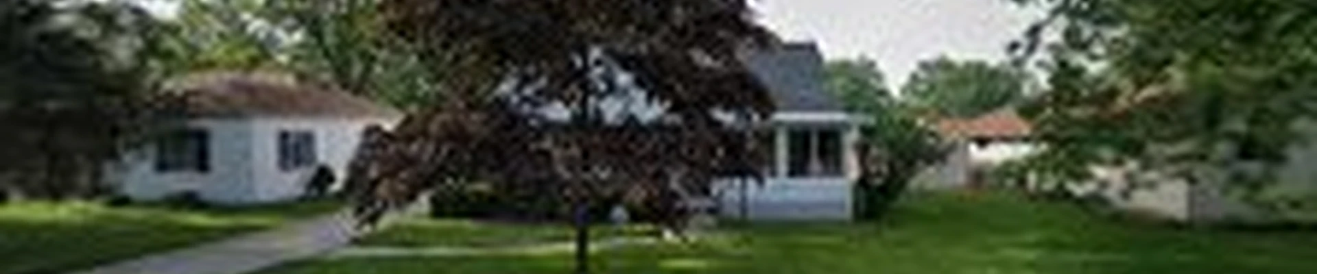 White's Tree Service LLC