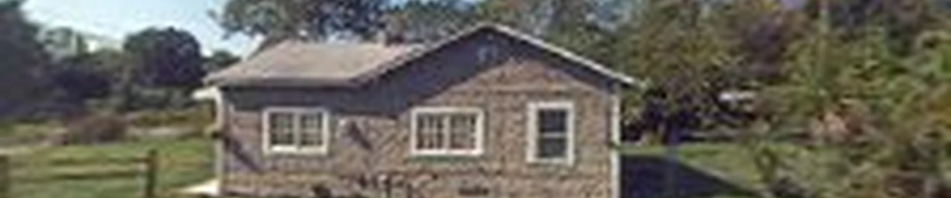 Wilson's Tree Services