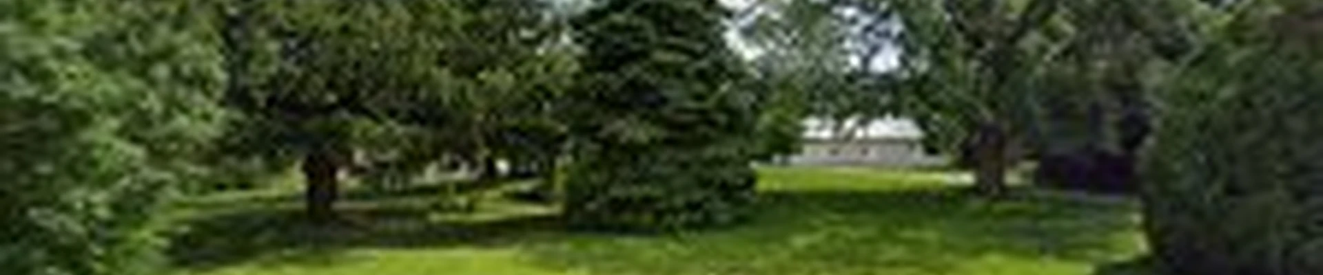 Foos Tree Service
