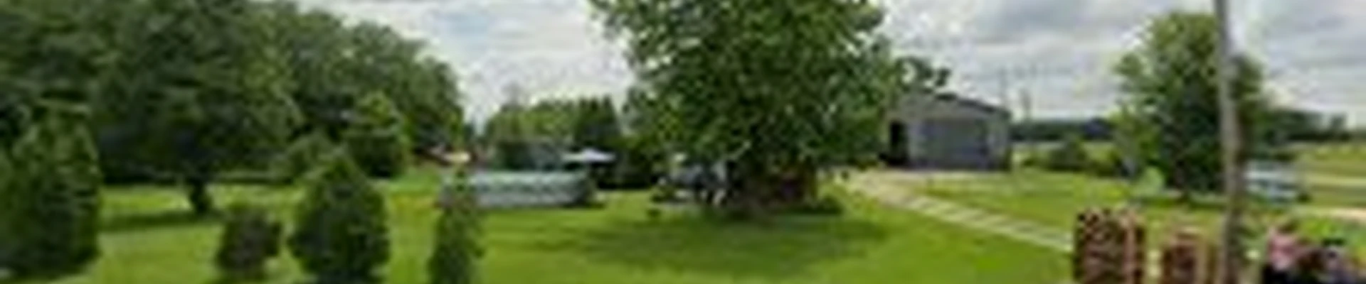 A-B Walker Tree Services