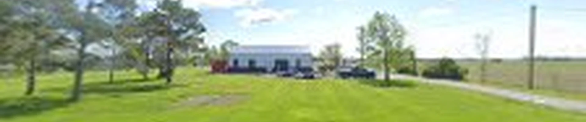 Black Swamp Tree Services