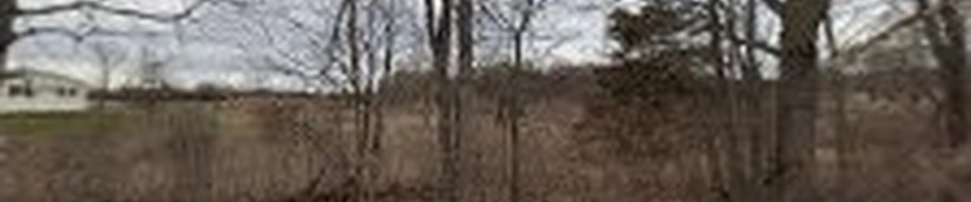 Roberts & Son Tree And Land Maintenance