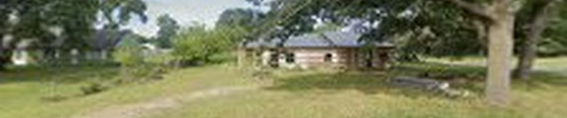The Tree Guy Services LLC