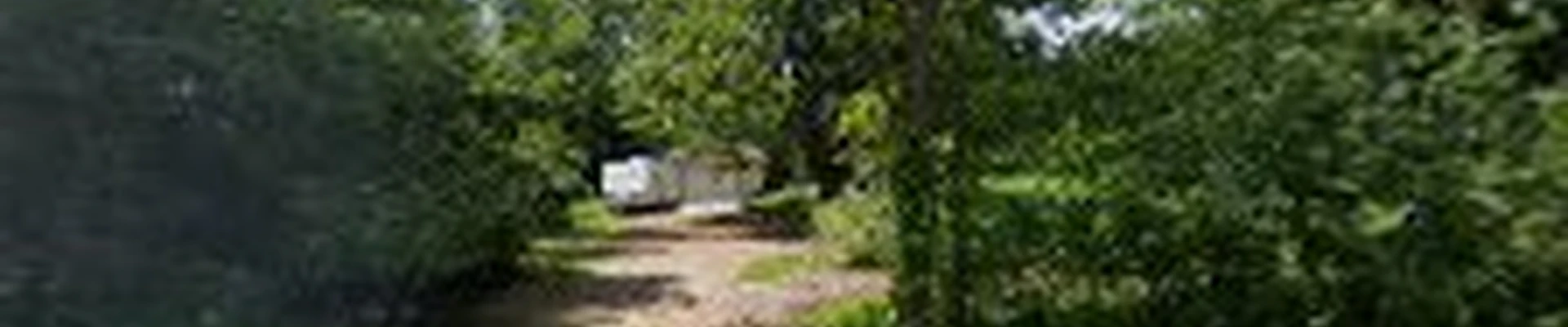 Top Notch Tree Service