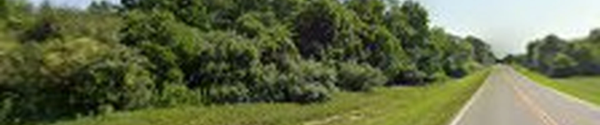 Top Timber Tree Service, LLC