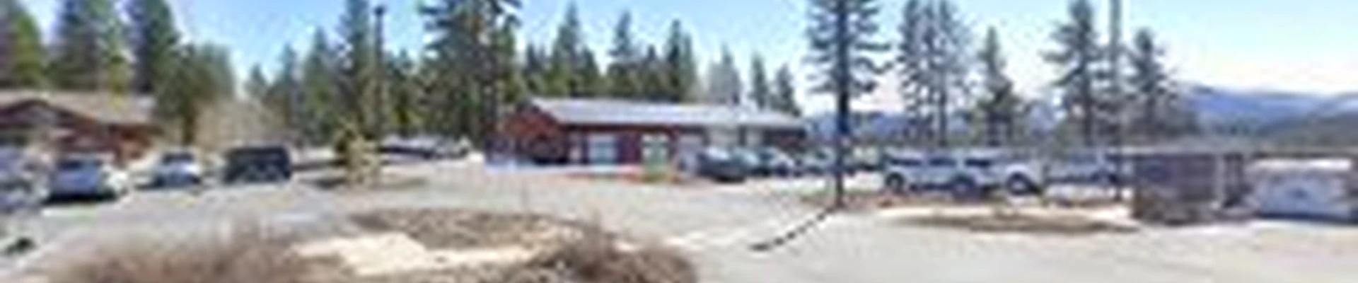 Truckee Tree Removal