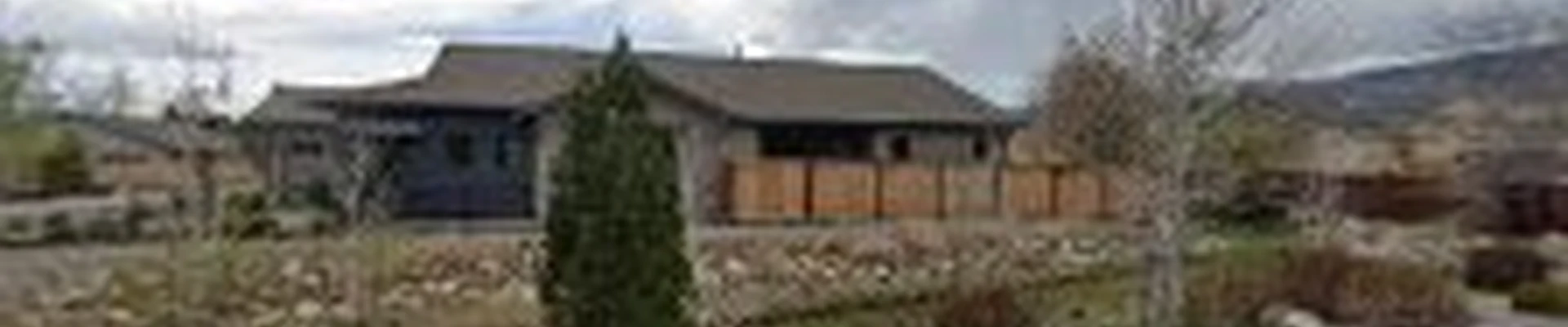 American Arborists Tree Service
