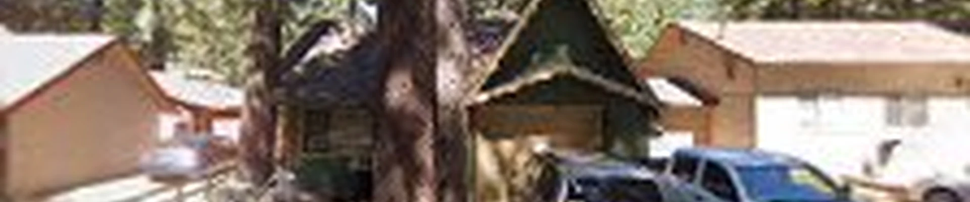 Sierra Crest Tree Service