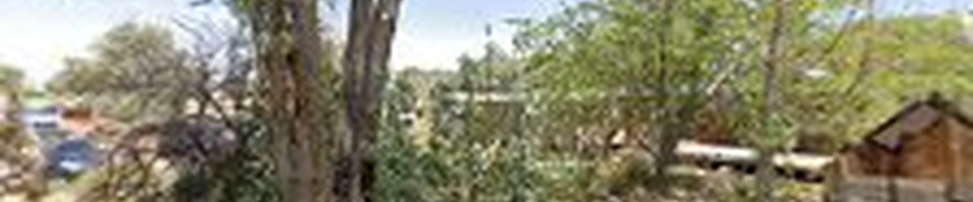 Going West Tree Service, LLC