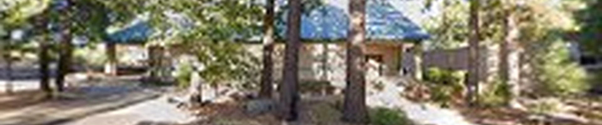 Big Ben's Tree Service Magalia