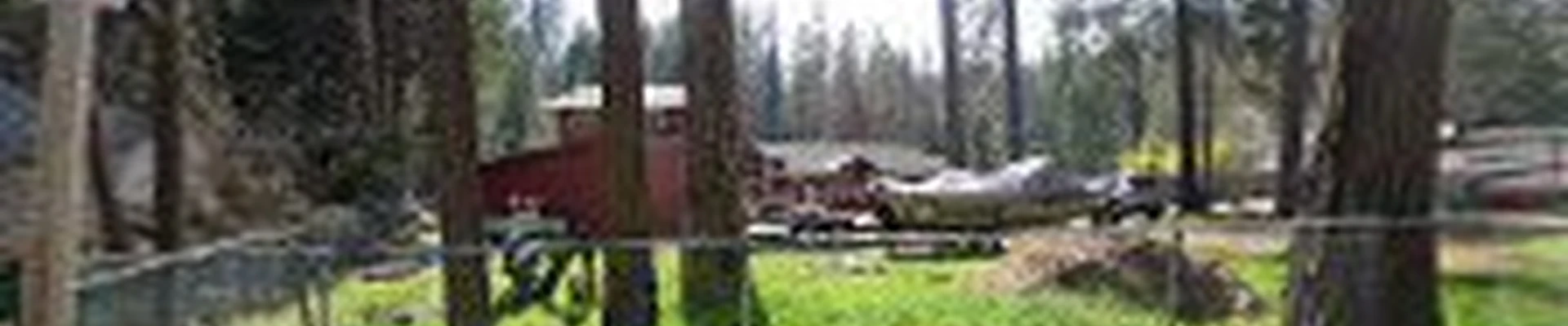YFR Tree & Land Management