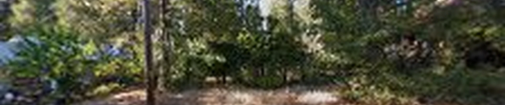 Carefree Tree Care