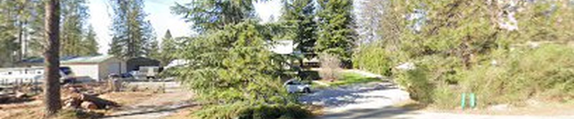 Tree Safe