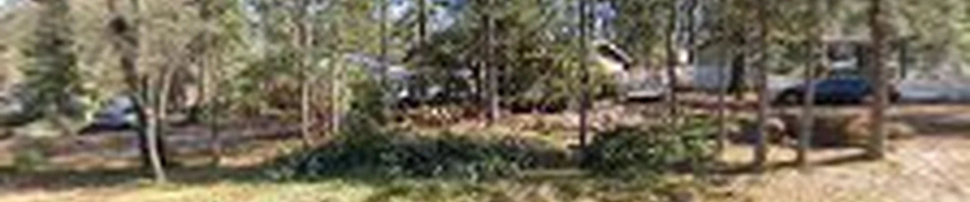 Powell Arbor Solutions