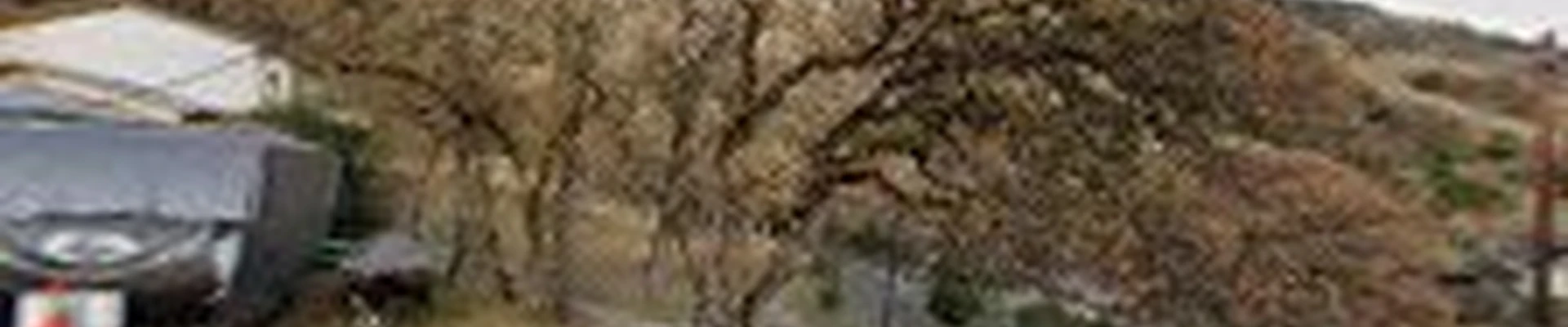 Gentry Tree Service