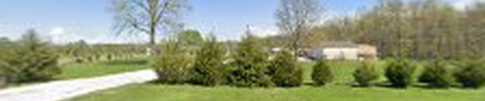Sheltons Tree Service LLC