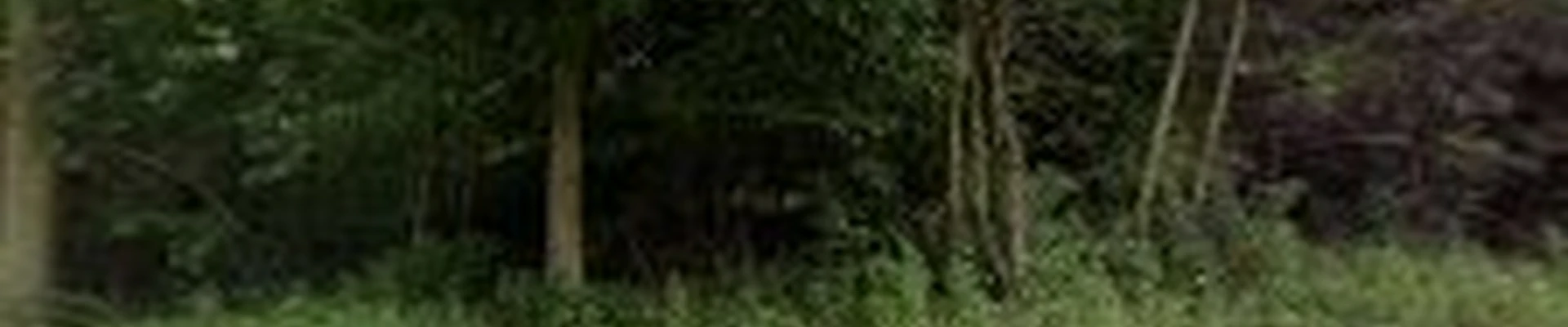 Wagner & Fike Tree Service, LLC