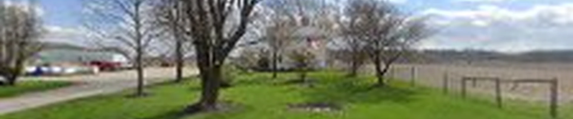 Straight cut tree service LLC