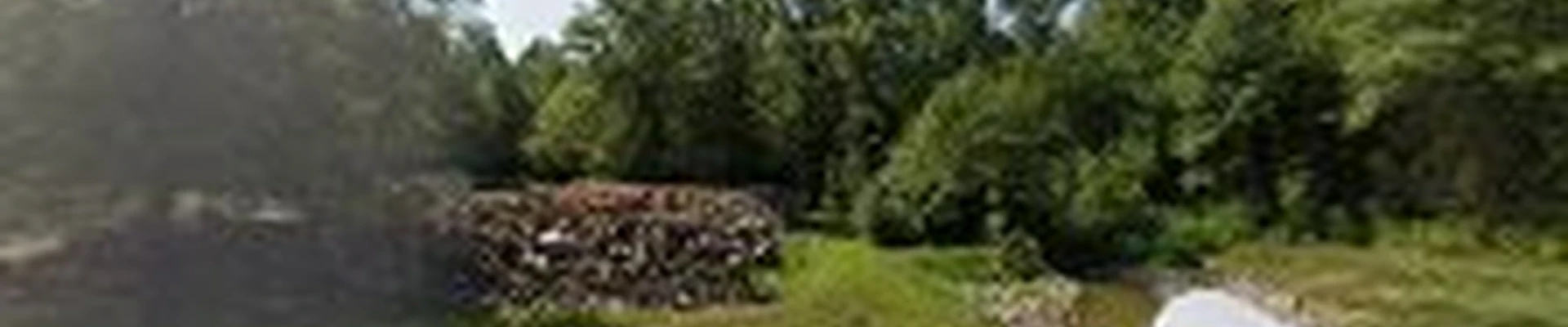 Thieme Takedown Tree Service LLC