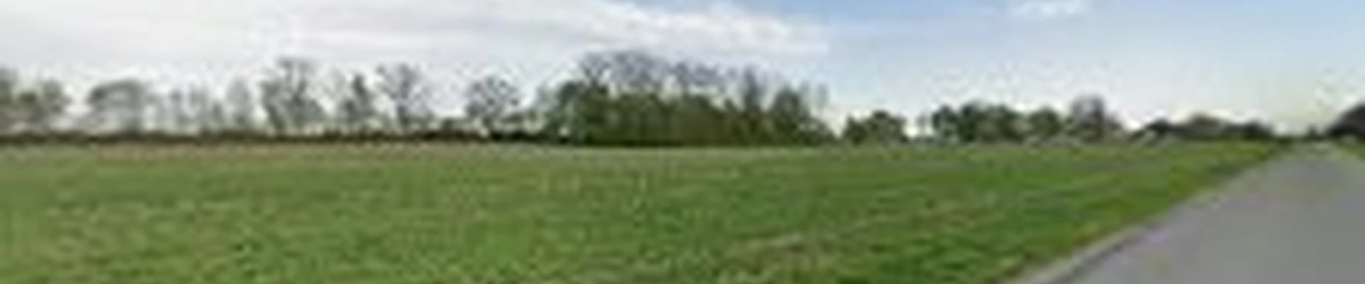 RAH Tree Service & Stump Grinding