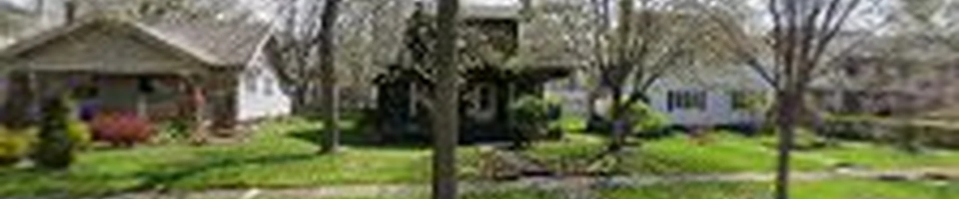 Tree Removal Fort Wayne