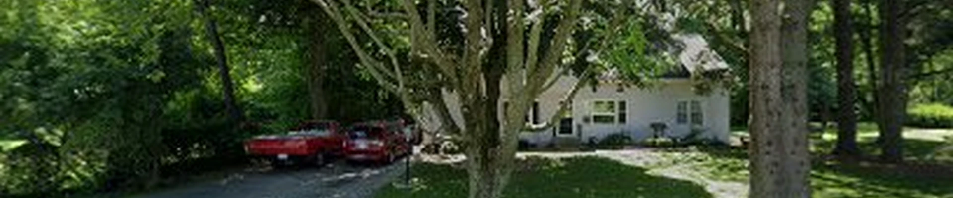 WEBER TREE LLC