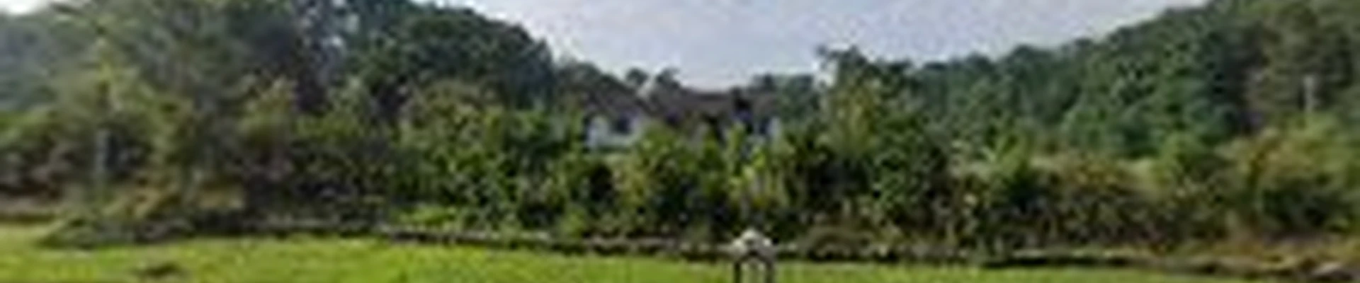 M&E Tree Service LLC