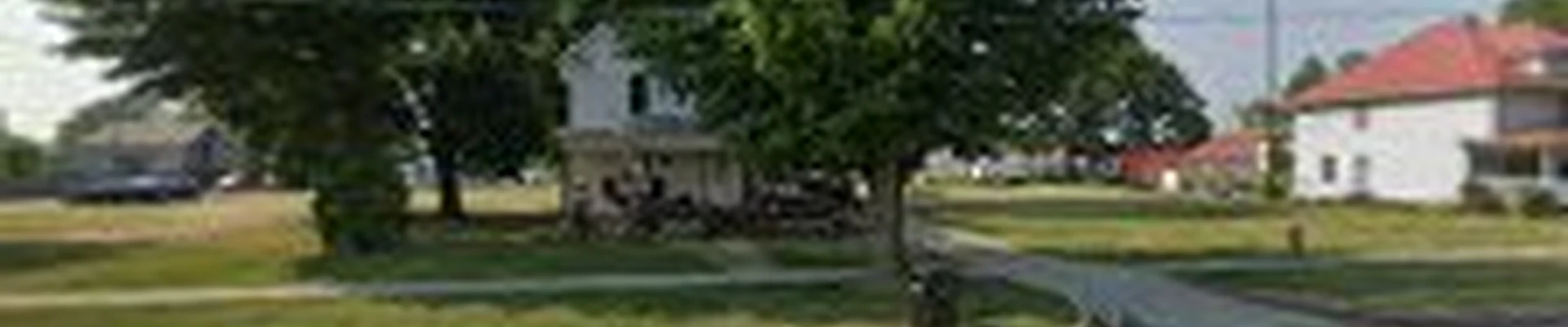 S&P Tree Professionals
