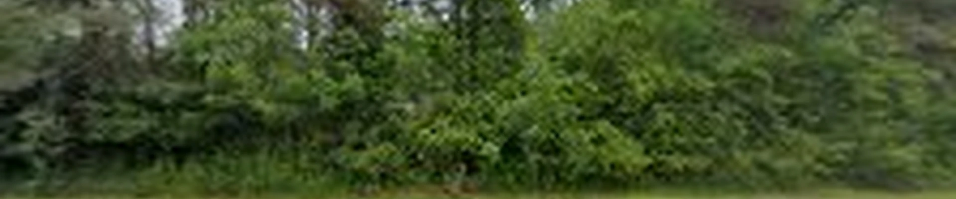 Fasso Tree Service