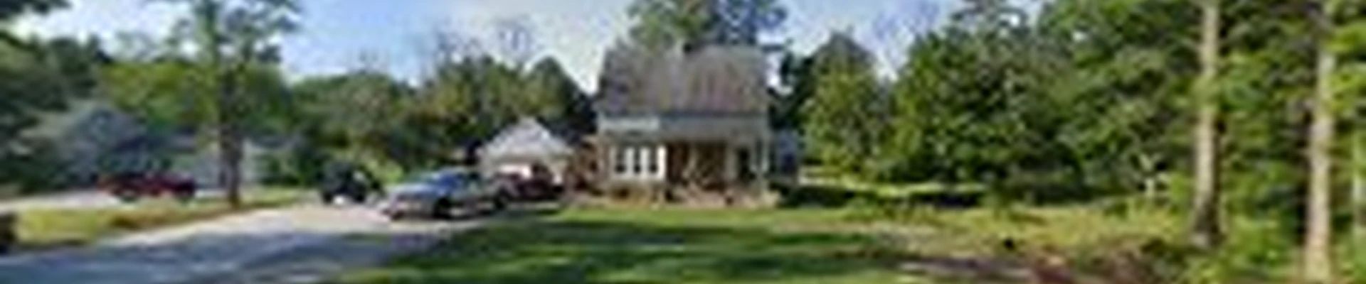 Half Price Stump Grinding