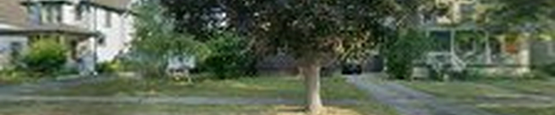 Hoppy's Tree Service