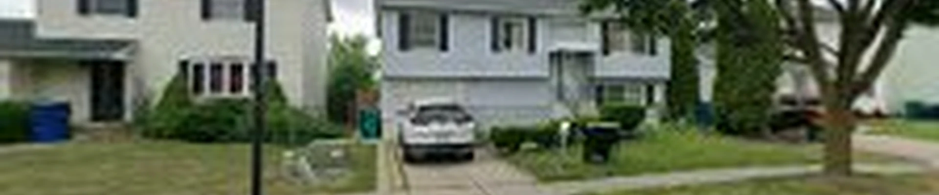 WNY Tree Specialists