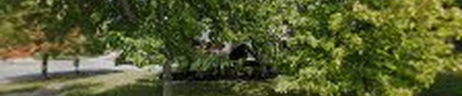 Greg's Tree Service