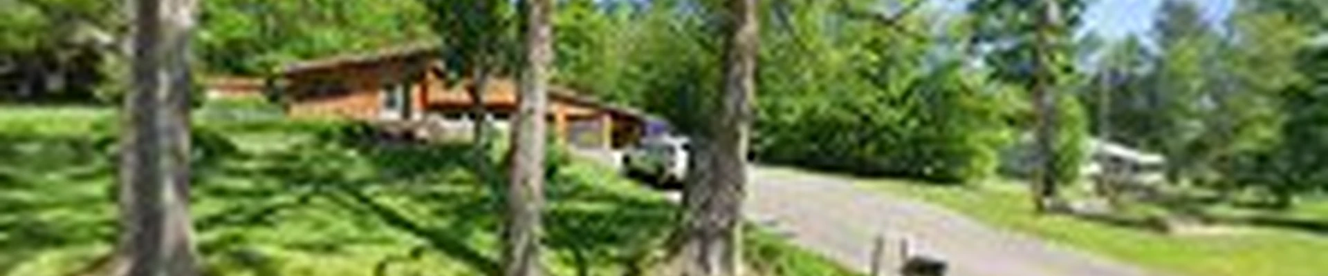 Select Logging & Tree Care
