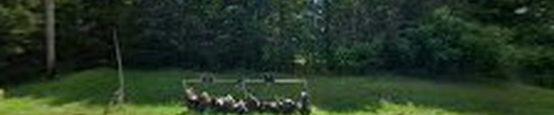Stump Removal LLC