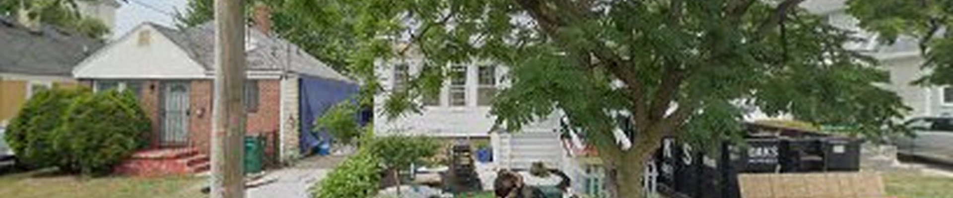 Urban Oak Tree Care