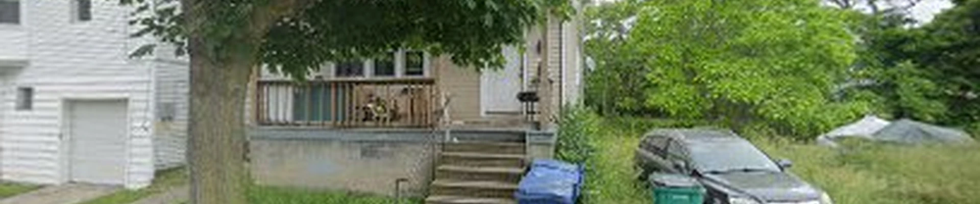 Buffalo City Tree Experts