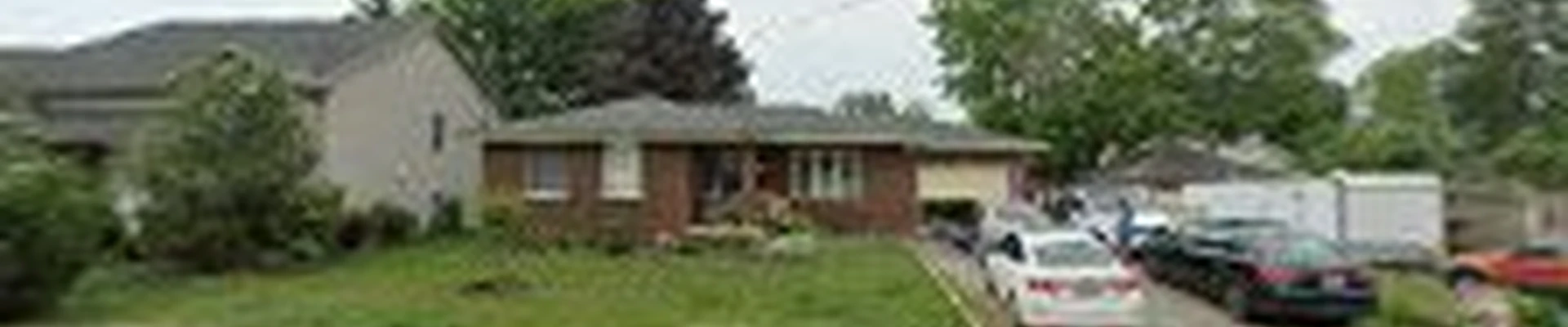 Ethos Tree Care