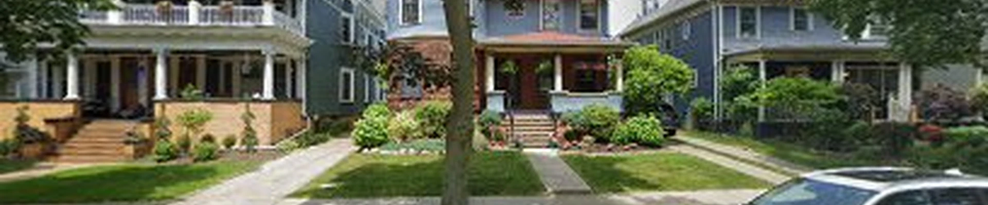 GoldenLeaf Tree Care