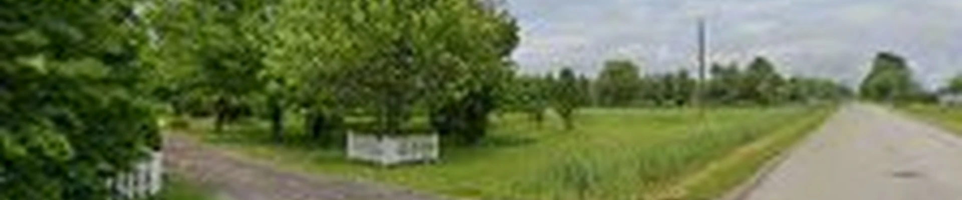 Mapleview Tree Service